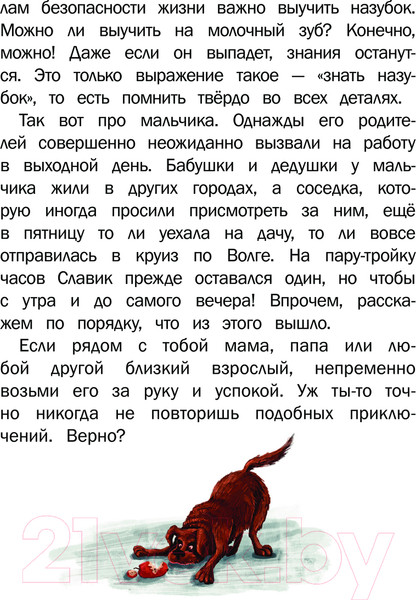 Изображение товара Книга АСТ Один дома / 9785171544881 (Киселев С.С., Лисицкая А.Ю.)