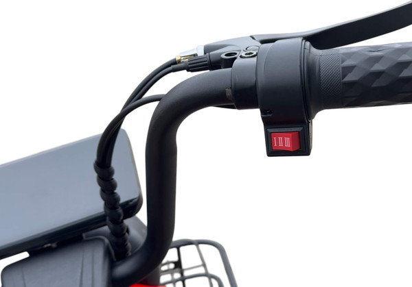 Изображение товара Электроскутер Smart Balance Minicooper 13 (серый)