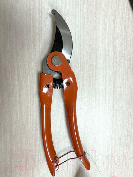 Изображение товара Секатор механический Angarden А9260