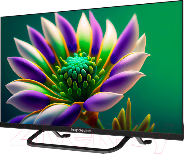 Изображение товара Телевизор Topdevice TDTV24CS04HBK