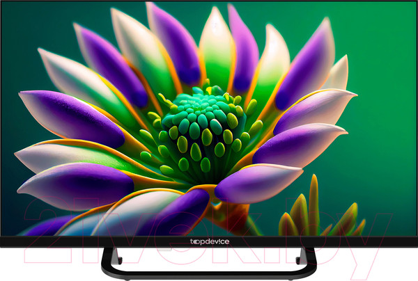Изображение товара Телевизор Topdevice TDTV24CS04HBK
