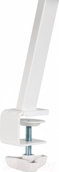 Изображение товара Полка для парты Растущая мебель Smart E611 навесная c подставкой