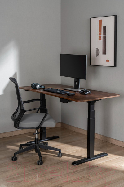 Изображение товара Подстолье Ergosmart Ergo Desk Prime (черный)