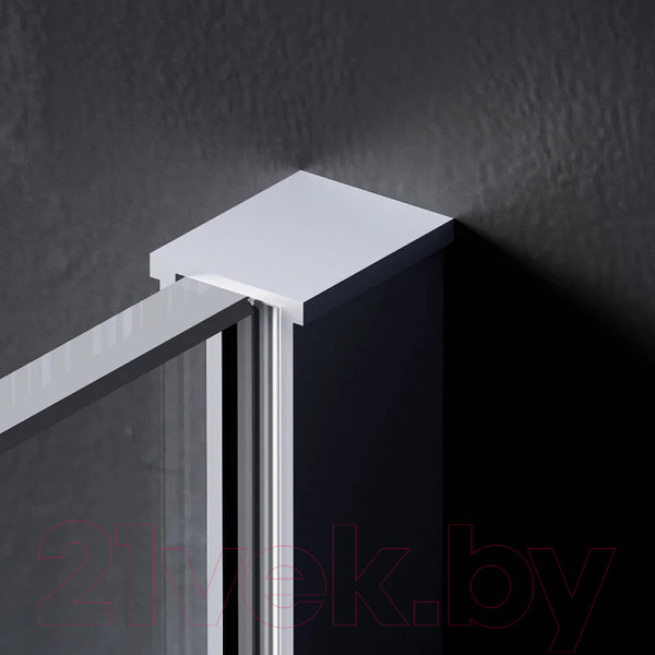 Изображение товара Душевая стенка AM.PM Func 110x200 / W84WI-110-F1-MTE (хром матовый/прозрачное стекло)