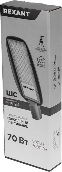 Изображение товара Светильник уличный Rexant 607-308