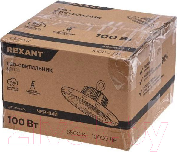 Изображение товара Светильник ЖКХ Rexant 607-299 