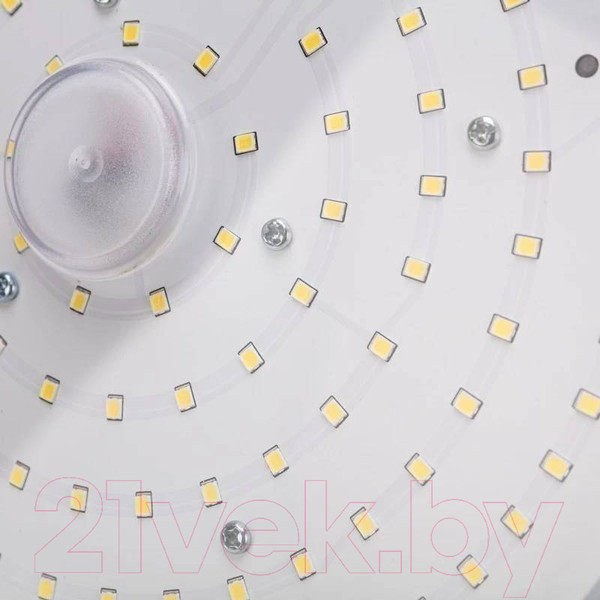 Изображение товара Светильник ЖКХ Rexant 607-298