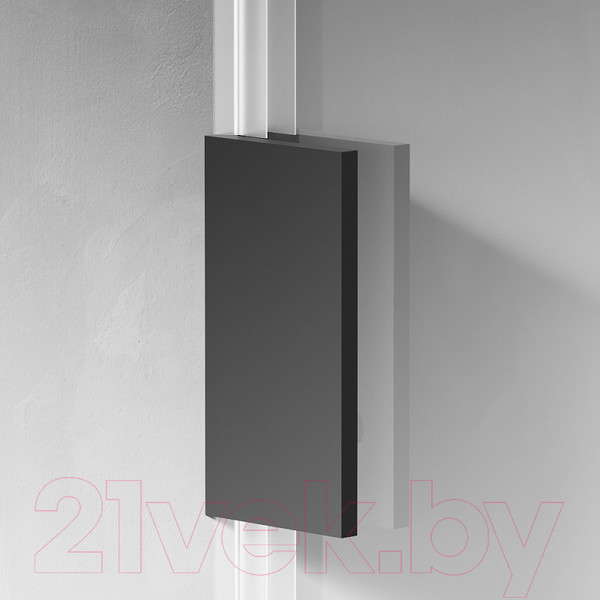 Изображение товара Душевая стенка AM.PM X-Joy 100x195 / W94WI-100-F1-BTE (черный/прозрачное стекло)