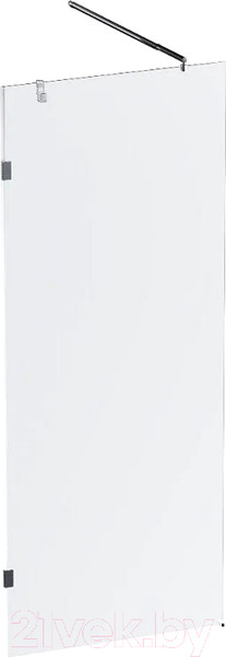 Изображение товара Душевая стенка AM.PM X-Joy 100x195 / W94WI-100-F1-MTE (хром матовый/прозрачное стекло)