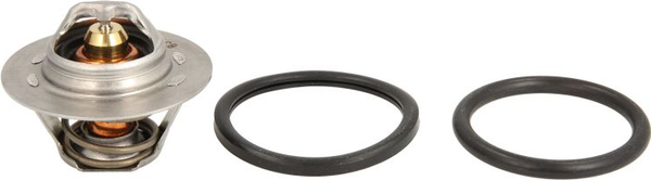 Изображение товара Термостат автомобильный Vernet-Calorstat TH6045.89J