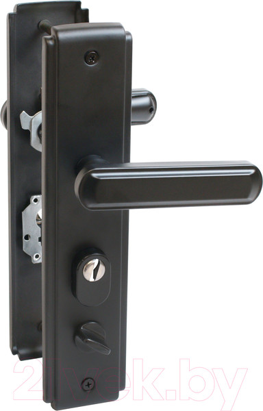 Изображение товара Ручка дверная Аллюр Стандарт РН-СТ261 Y BL