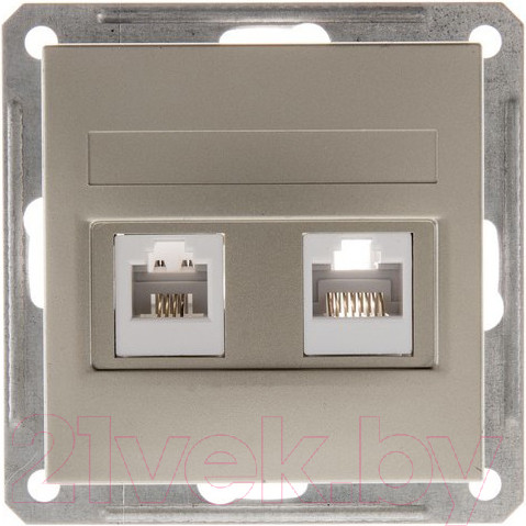 Изображение товара Розетка Systeme (Schneider) Electric W59 RSI-251TK5E-4-86