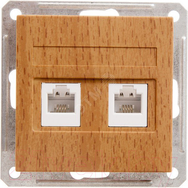 Изображение товара Розетка Systeme (Schneider) Electric W59 RSI-251TT-8-86