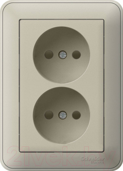Изображение товара Розетка Systeme (Schneider) Electric W59 RS16-254-48