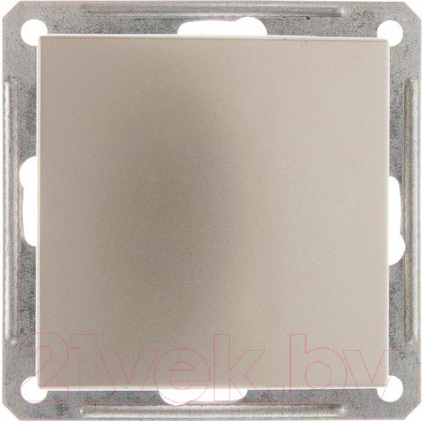 Изображение товара Декоративная заглушка для розетки Systeme (Schneider) Electric W59 SP-50-48