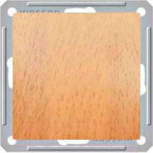 Изображение товара Декоративная заглушка для розетки Systeme (Schneider) Electric W59 SP-50-88