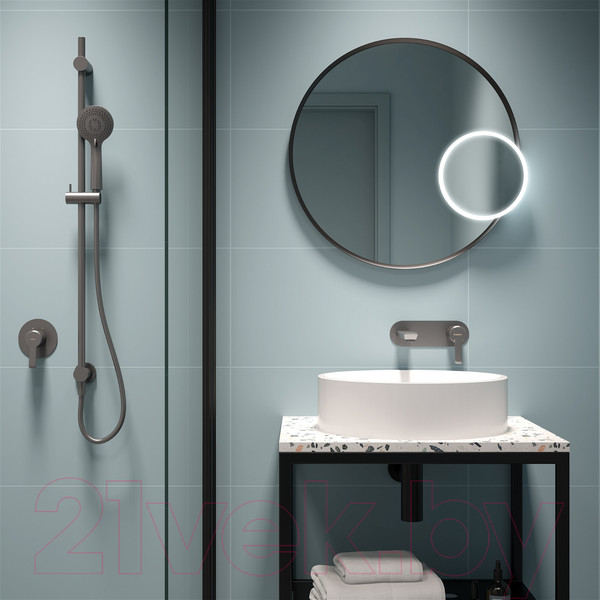 Изображение товара Лейка ручного душа Deante Arnica NQA D51S