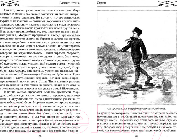 Изображение товара Книга Вече Пират / 9785448445545 (Скотт В.)