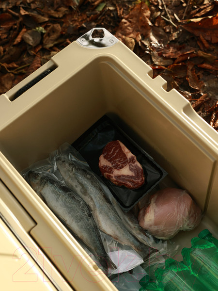 Изображение товара Термоконтейнер Арктика 2600-120W-BG  (бежевый)