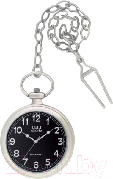 Изображение товара Часы карманные Q&Q C170J205Y