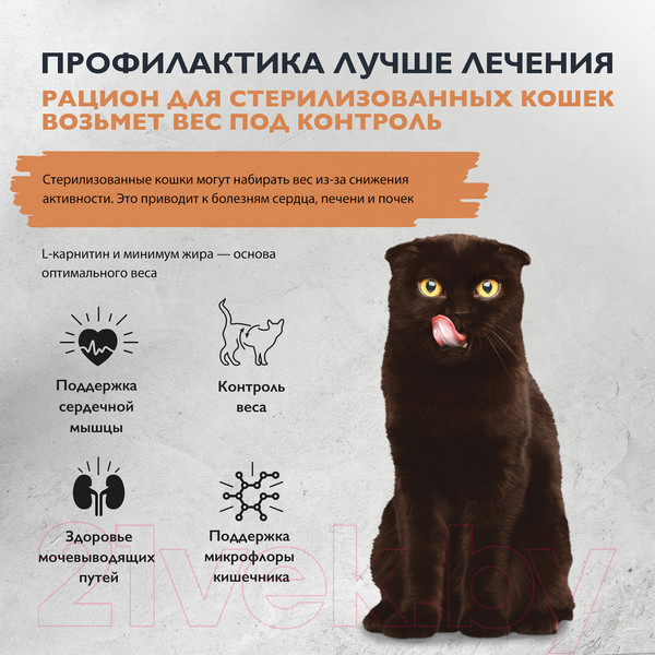 Изображение товара Сухой корм для кошек Brit Care Cat Sterilised Weight Control с рыбой и индейкой / 5066223 (400г)