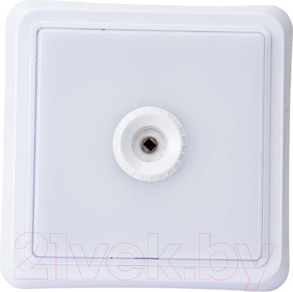 Изображение товара Светильник ЖКХ INhome СПБ-2Д-Квадрат / 4690612022079