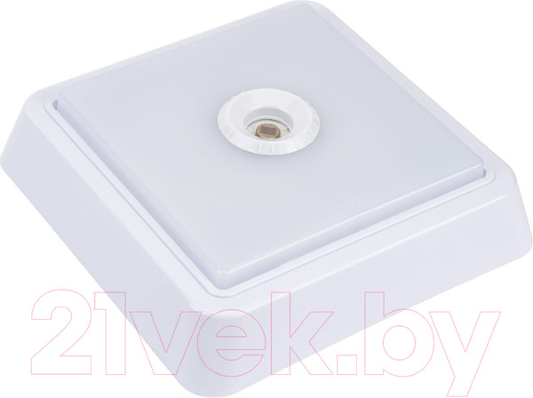 Изображение товара Светильник ЖКХ INhome СПБ-2Д-Квадрат / 4690612022079