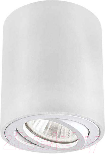 Изображение товара Точечный светильник INhome НПБ Цилиндр-GU10-RT-WH / 4690612053639