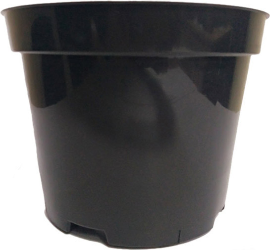 Изображение товара Набор горшков для рассады GreenTerra C2 (100шт)