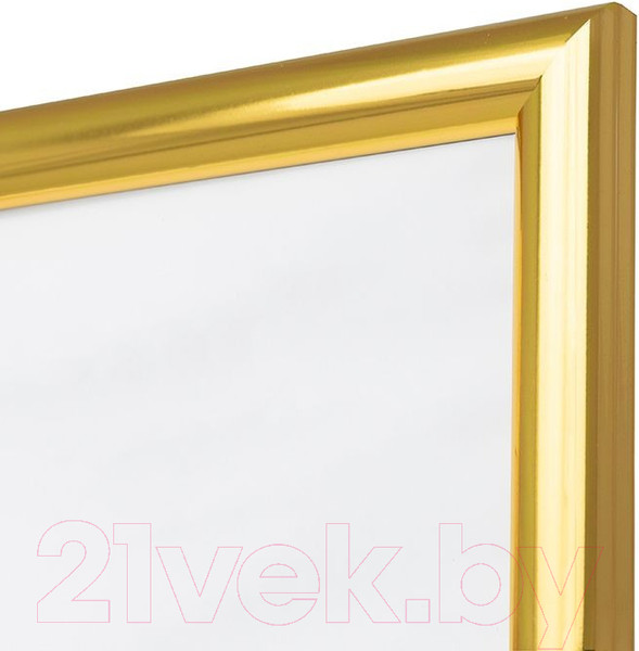 Изображение товара Рамка Мирам 642011-A3 (29.7x42)
