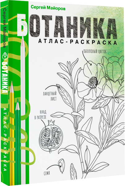 Изображение товара Раскраска-антистресс АСТ Ботаника. Атлас-раскраска (Майоров Сергей)