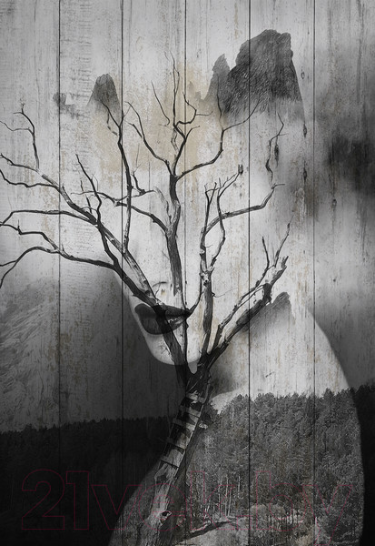 Изображение товара Картина White Wood B112-V-060-090-6.54 