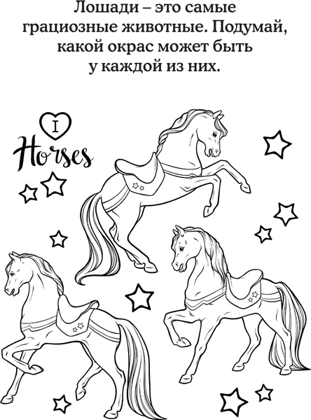 Изображение товара Книга АСТ Отдохни от суеты, мягкая обложка (Домоседов Владимир)