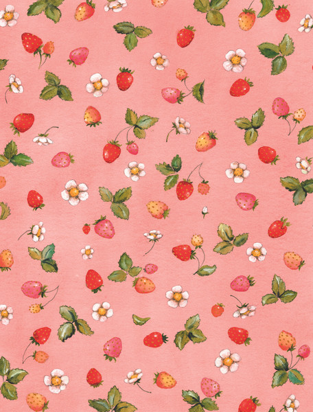 Изображение товара Книга АСТ Земляничная фея. Самые любимые истории (Дале Штефани)