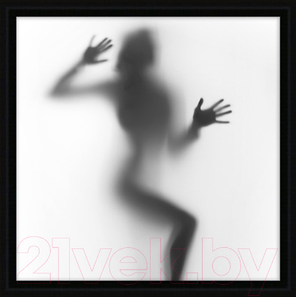 Изображение товара Картина Декарт Женский силуэт 1 8Л1775 (в раме)