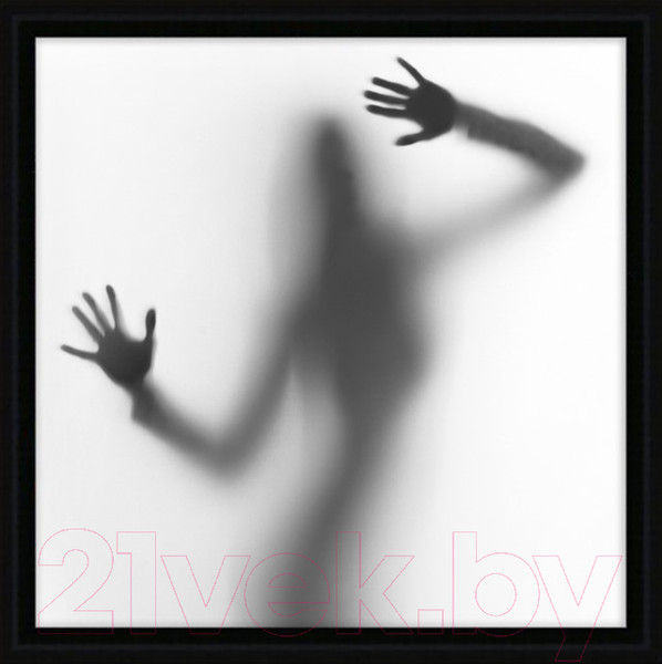 Изображение товара Картина Декарт Женский силуэт 2 8Л1774 (в раме)