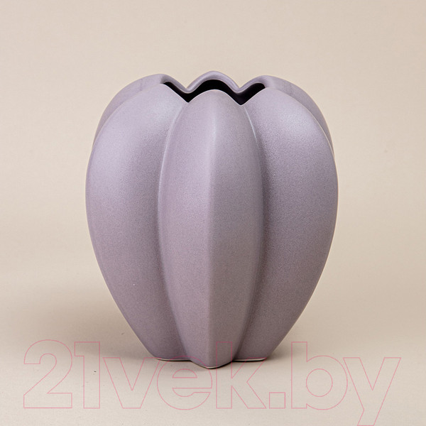 Изображение товара Ваза Bronco 110-1041 