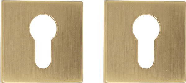 Изображение товара Накладка на цилиндр VELA Techno DPC-Quadro MSB (матовое золото)