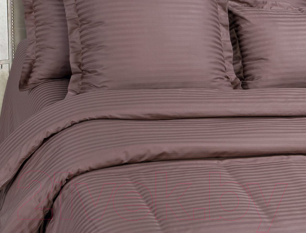 Изображение товара Комплект постельного белья АртПостель Папирус 866/2 (страйп-сатин)