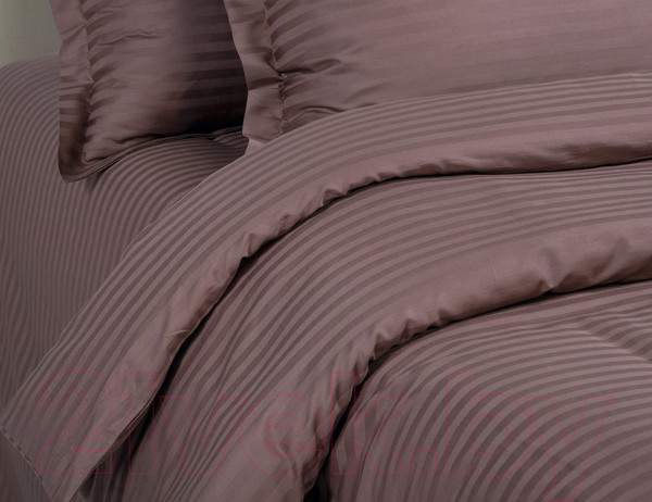 Изображение товара Комплект постельного белья АртПостель Папирус 866/2 (страйп-сатин)