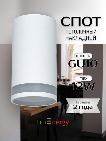 Изображение товара Точечный светильник Truenergy 21305