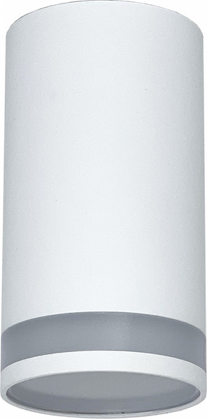 Изображение товара Точечный светильник Truenergy 21305