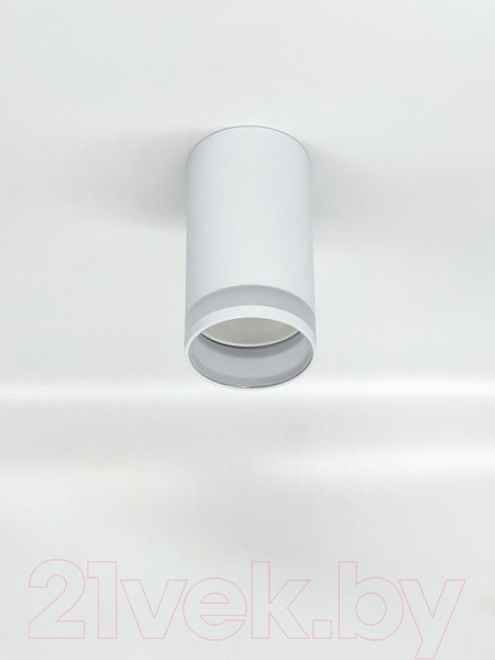 Изображение товара Точечный светильник Truenergy 21305