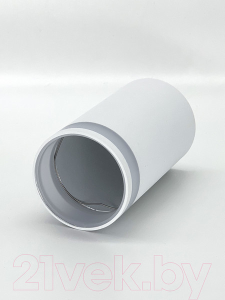 Изображение товара Точечный светильник Truenergy 21305