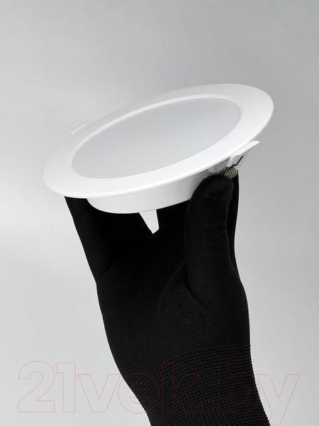 Изображение товара Точечный светильник Truenergy 10085