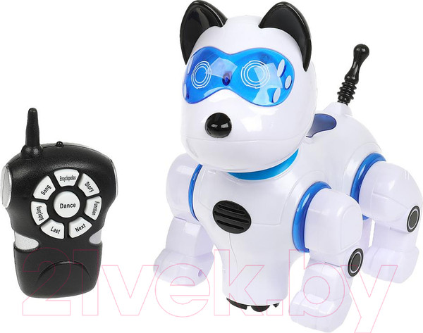 Изображение товара Робот Технодрайв B2024134-R