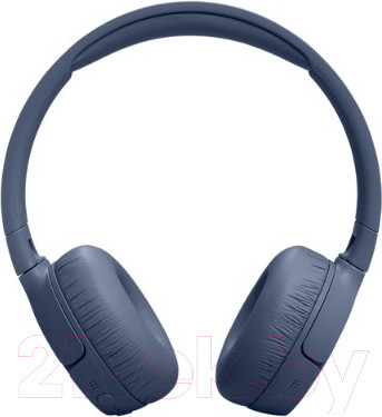 Изображение товара Беспроводные наушники JBL Tune 670NC / T670NCBLU (синий)
