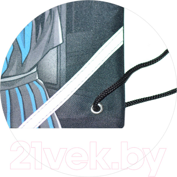 Изображение товара Мешок для обуви Феникс+ Герои аниме. Комикс / 66184