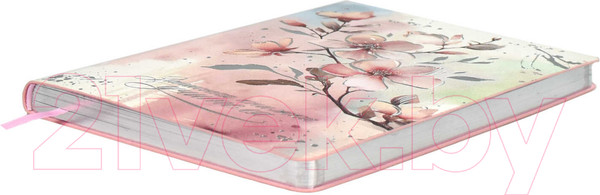 Изображение товара Записная книжка Феникс+ Сакура / 66479