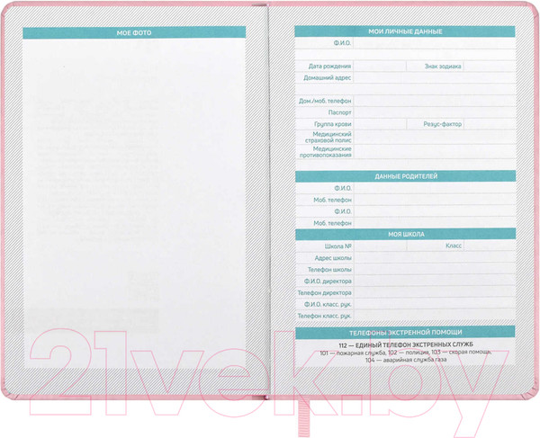 Изображение товара Планинг Феникс+ Плонже / 66489 (розовый)